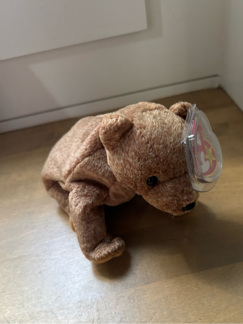 Ty beanie baby Pecan